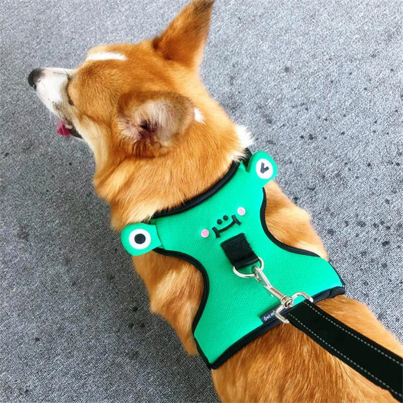 Hundegeschirr mit Leine, diverse Grössen | LuxeStyle