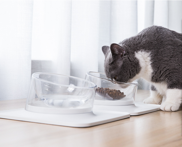 Aiwo Anti-Überlauf Napf für Hunde und Katzen – Bild 3 | LuxeStyle