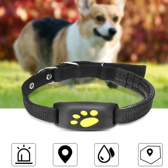GPS-Haustier-Tracker Z8-A