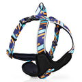 Pet Brustschutz DODOPET | LuxeStyle