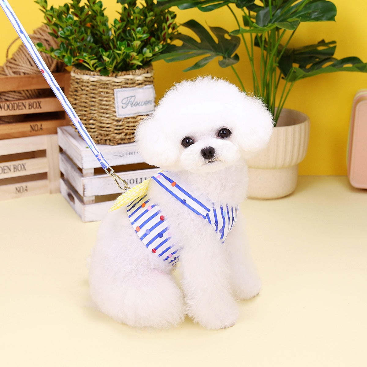 Gestreiftes Hunde-Geschirr mit Schleife – Bild 4 | LuxeStyle