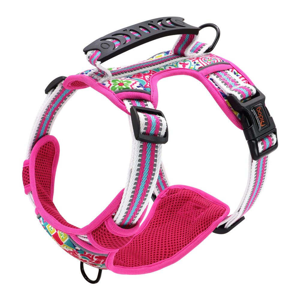 Hundegeschirr mit Leine (S-M-L) – Bild 4 | LuxeStyle