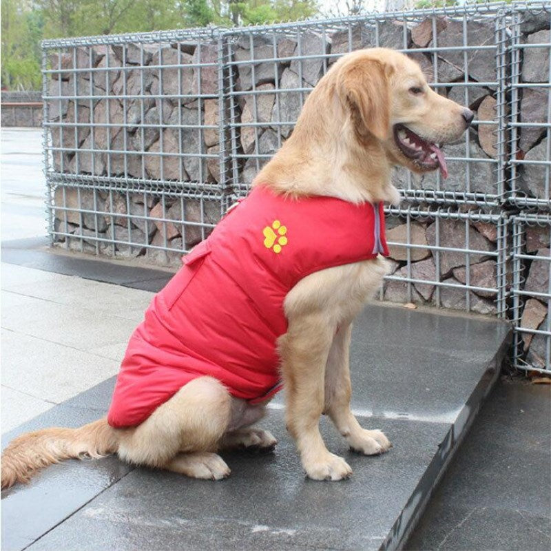 Winter Baumwollmantel für Hunde