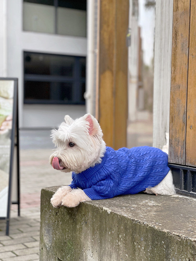 Bichon Corgi Winterpullover Blau – Bild 4 | LuxeStyle