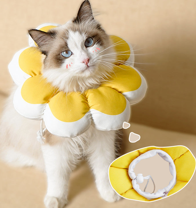 Wasserdichter Anti-Leck-Kragen für Katzen – Bild 8 | LuxeStyle