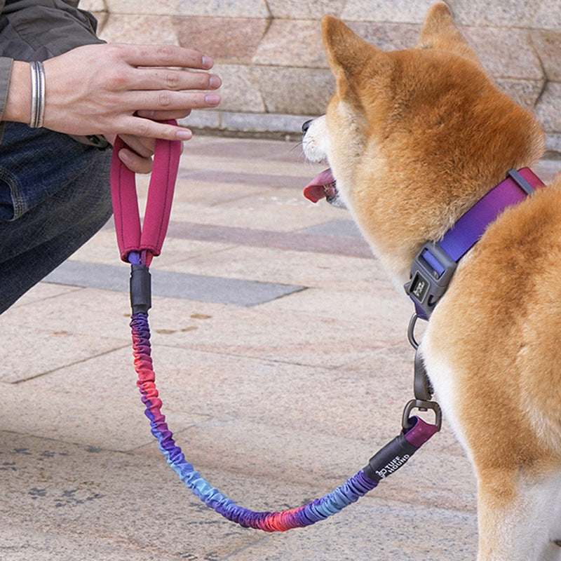 Hundeleine für mittelgrosse bis grosse Hunde – Bild 8 | LuxeStyle