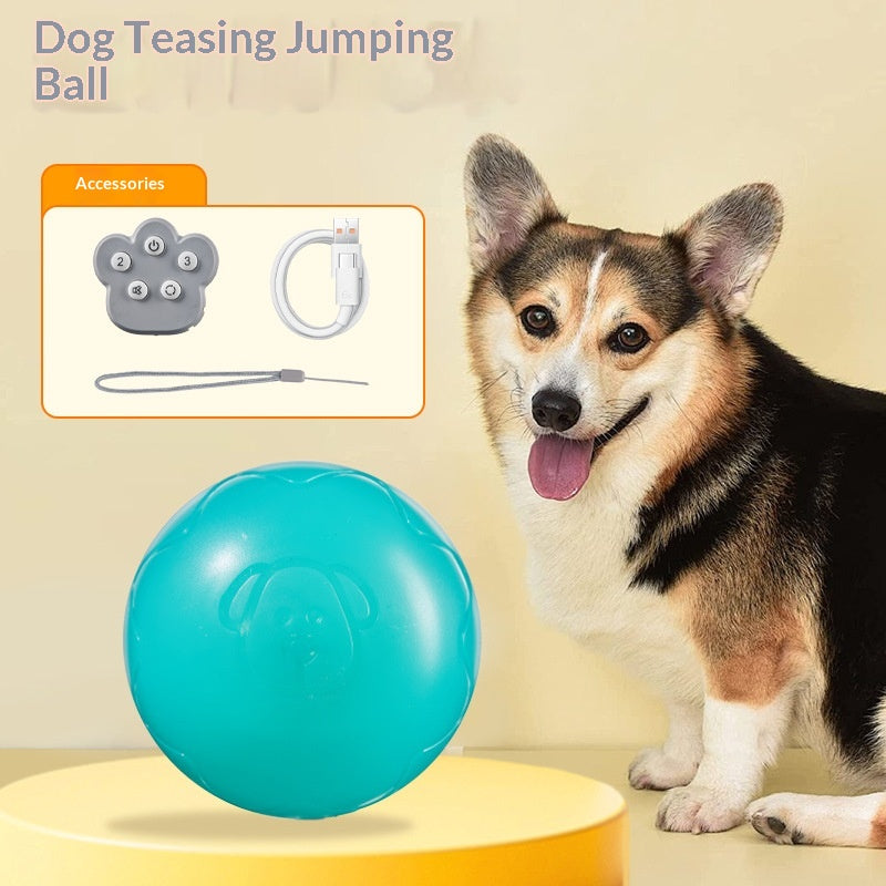 Ferngesteuerter Hüpfball für Hunde