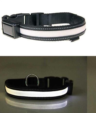 Sonnenschein-Halsband für Hunde – Bild 9 | LuxeStyle