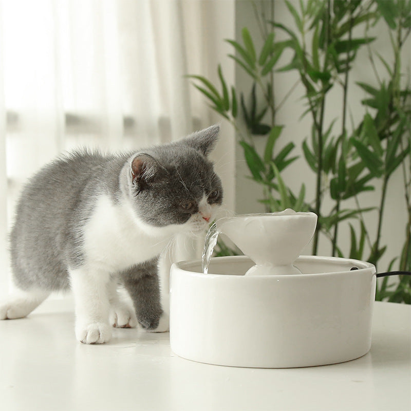 Katzen Trinkschüssel mit automatischer Zirkulation – Bild 3 | LuxeStyle