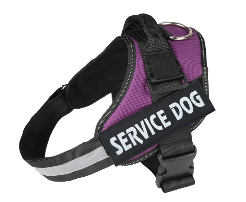 Halsband mit Brusttasche für Hunde – Bild 11 | LuxeStyle