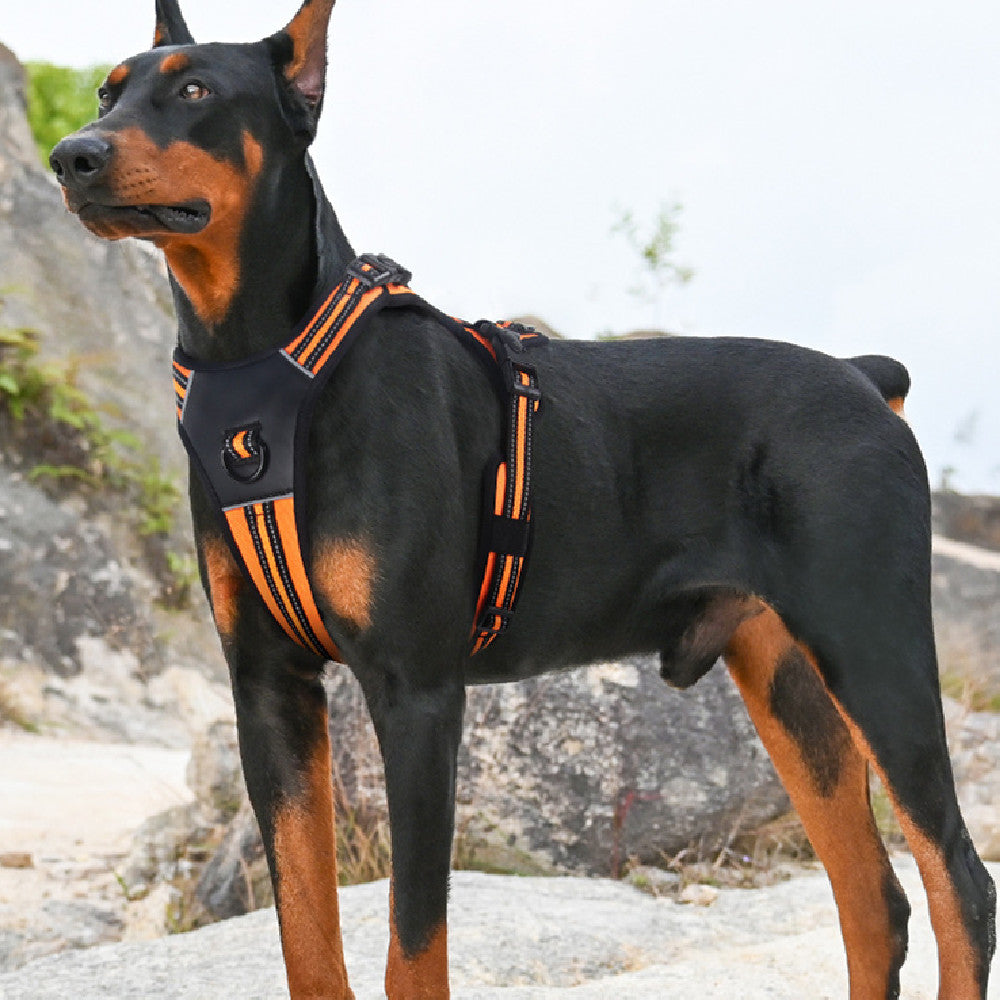 Hundegeschirr