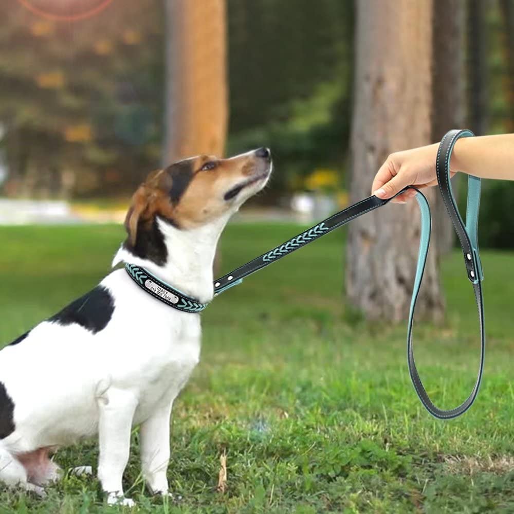 Personalisiertes Hunde-Halsband mit Gravur | LuxeStyle