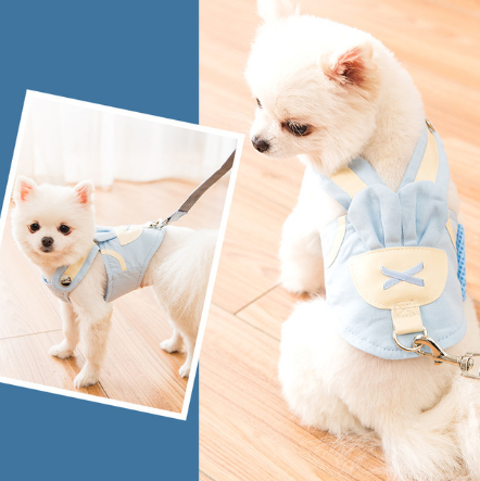 Hundegeschirr-Set für kleine bis mittelgrosse Hunde – Bild 8 | LuxeStyle