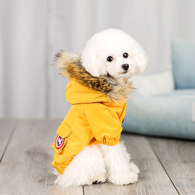 Hundekleidung mit Wollmütze – Bild 1 | LuxeStyle
