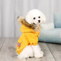 Hundekleidung mit Wollmütze – Bild 1 | LuxeStyle