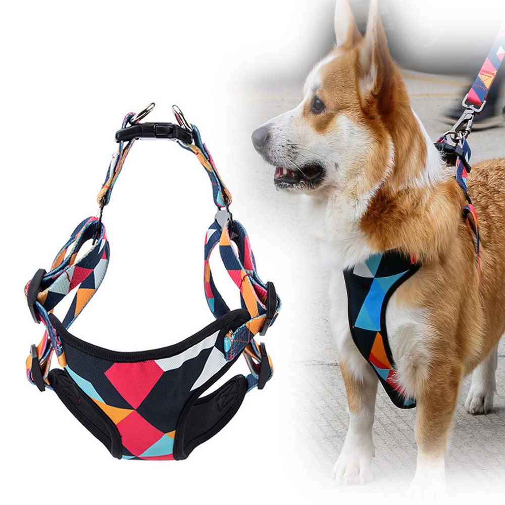 Hüftgurt für mittelgrosse Hunde mit Zugseil – Bild 5 | LuxeStyle