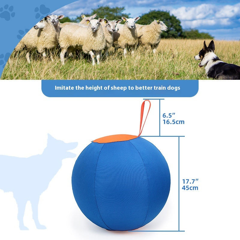 Funny Shiba Inu Corgi Trainingsball