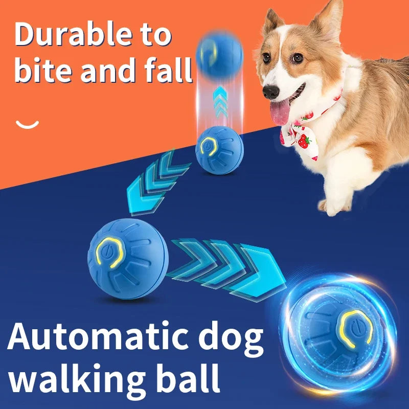 Intelligente Hundeball – Bild 6 | LuxeStyle