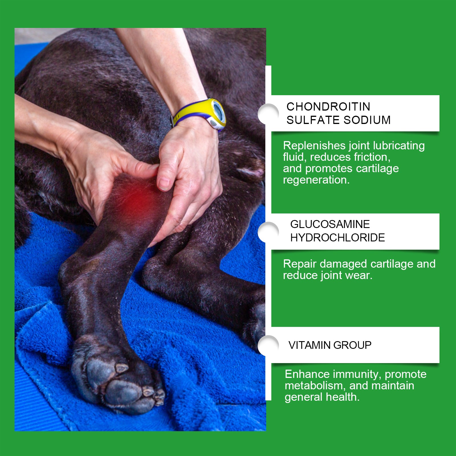 Gelenkschutz für Hunde