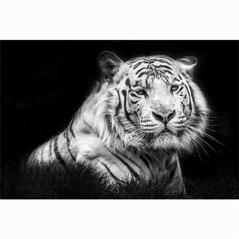 Leinwandbild Tigerkopf Schwarz-Weiss – Bild 10 | LuxeStyle