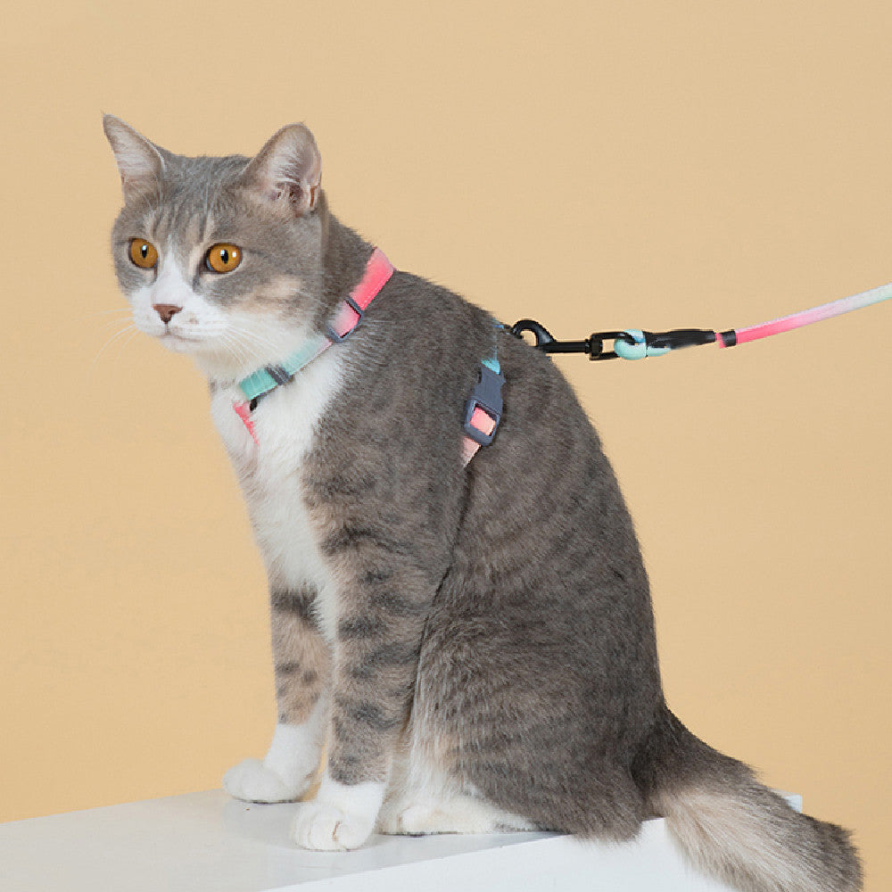 Ausbruchsicheres Geschirr für Katzen – Bild 14 | LuxeStyle