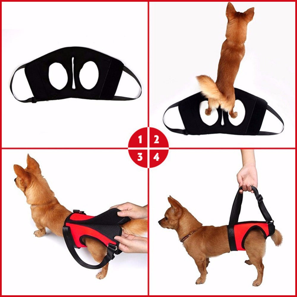 Einzelarmband zur Schulterhebelhilfe für Hunde – Bild 2 | LuxeStyle