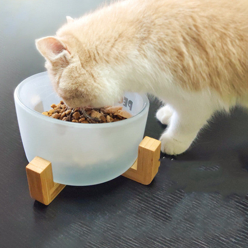 Schräge Glasfutterschale für Katze & Hund – Bild 4 | LuxeStyle