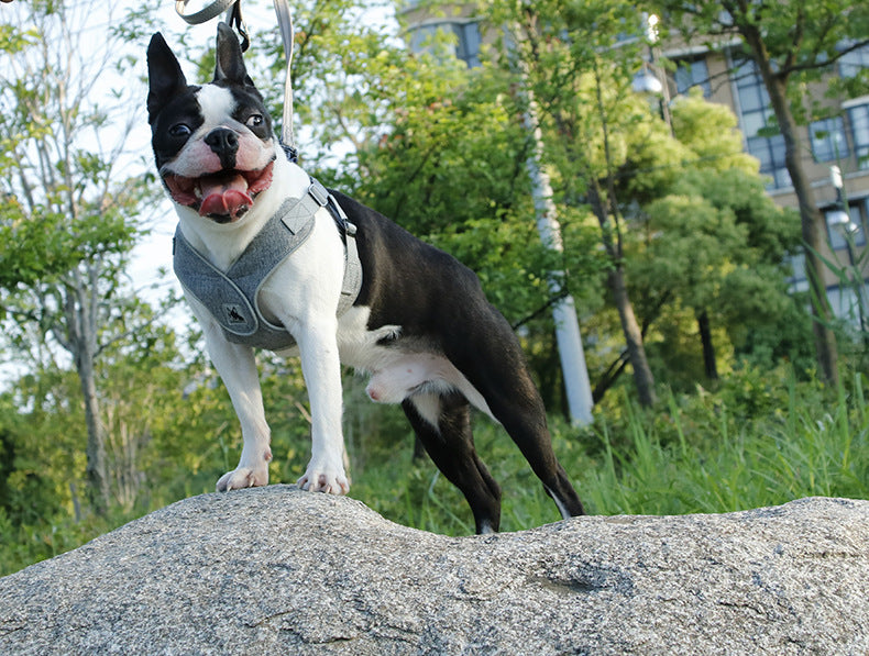Teddy Atmungsaktiv Hundeharnisch | LuxeStyle