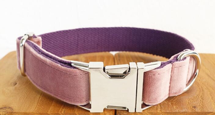 Halsband für Hunde und andere Haustiere – Bild 2 | LuxeStyle