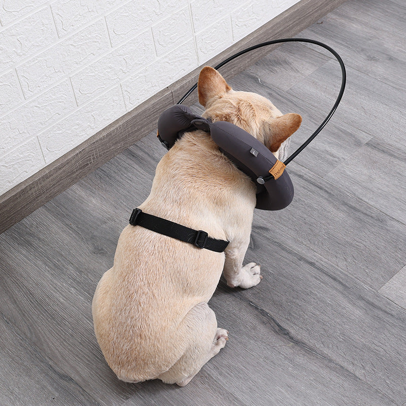 Hunde Anti-Kollisionsring für Halsbänder – Bild 3 | LuxeStyle
