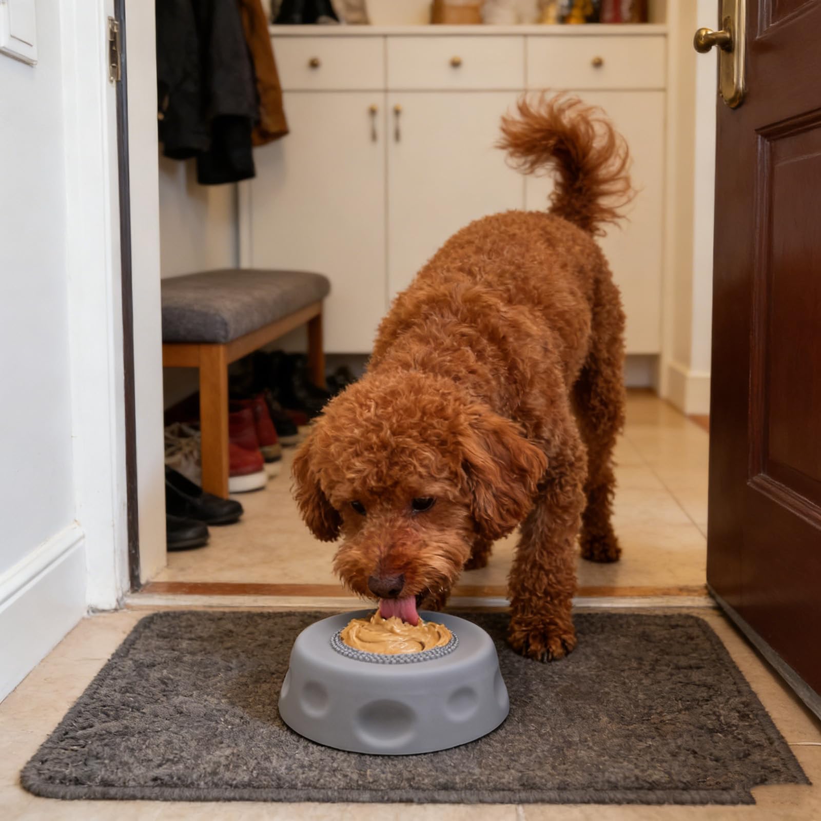 Leckschale mit Ball für Hunde