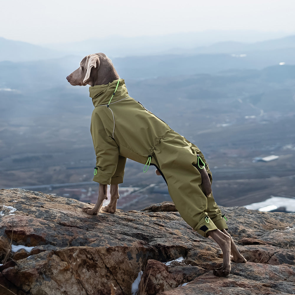Wärmeschutz Jacke für grosse Hunde