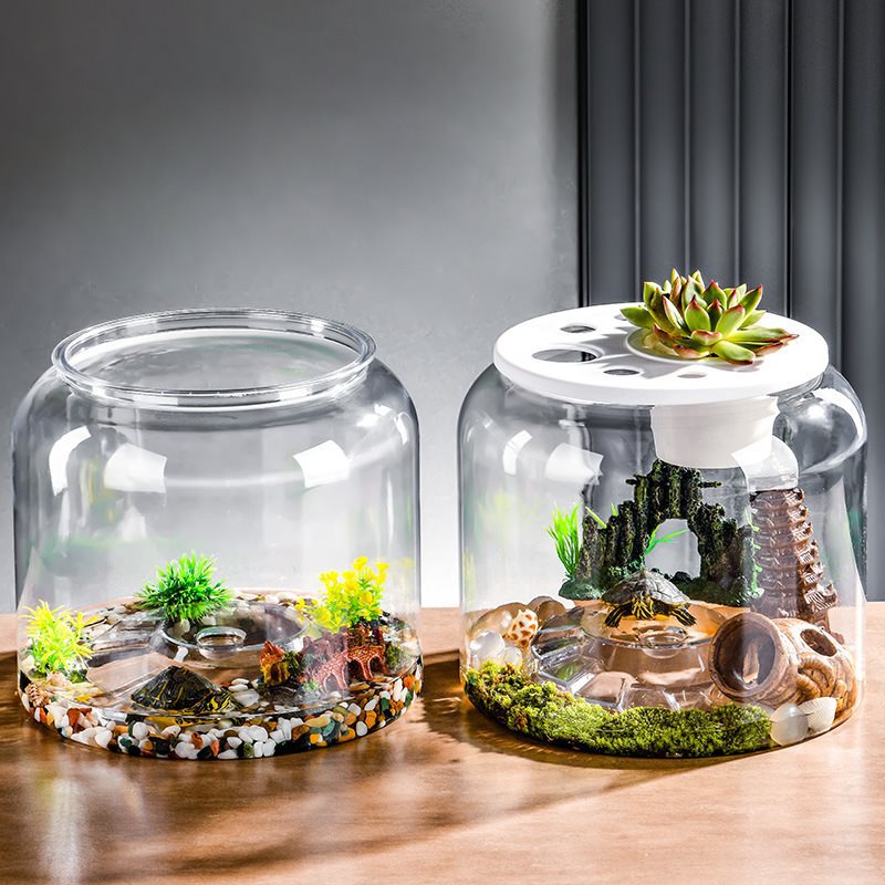 Pflanzkübel für Fische und Schildkröten