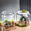 Pflanzkübel für Fische und Schildkröten