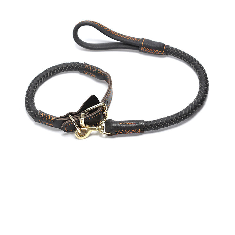 Leder Hundeleine mit Kette – Bild 3 | LuxeStyle