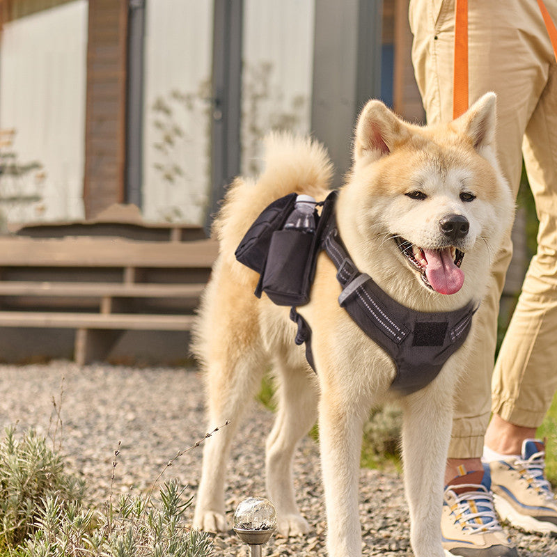 Hunde-Geschirr mit Leine, bequem & wasserdicht – Bild 1 | LuxeStyle