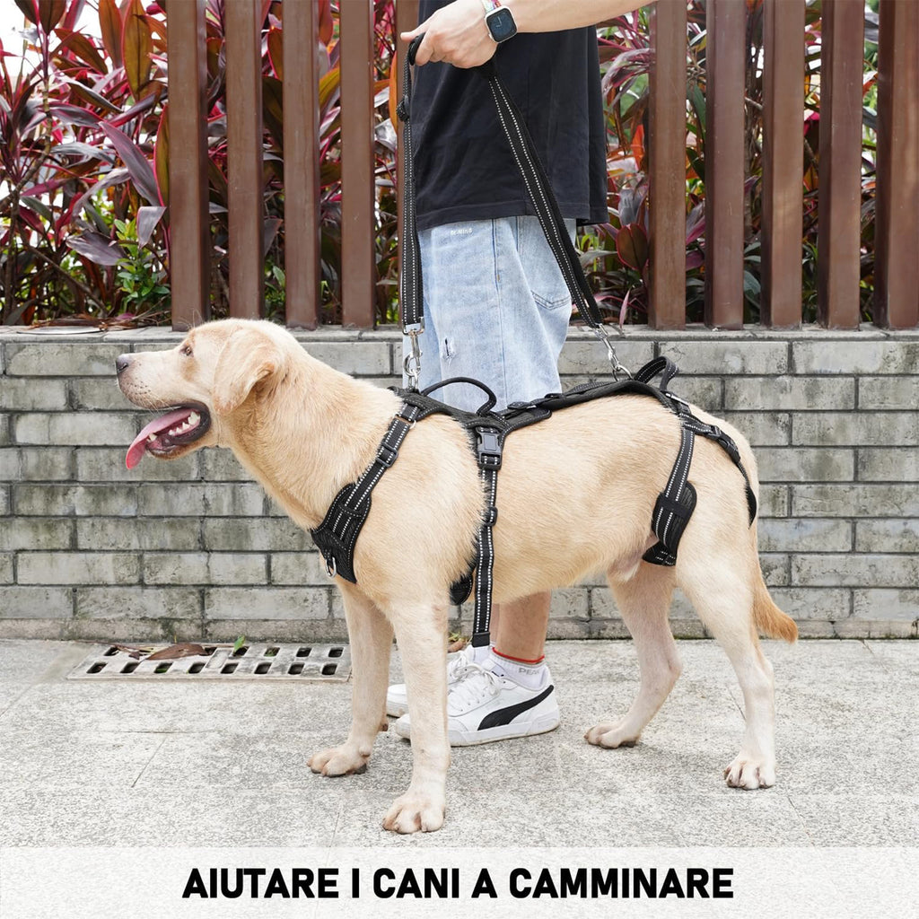 Gehhilfe für Haustiere – Bild 1 | LuxeStyle