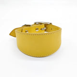 Farbe: Gelb