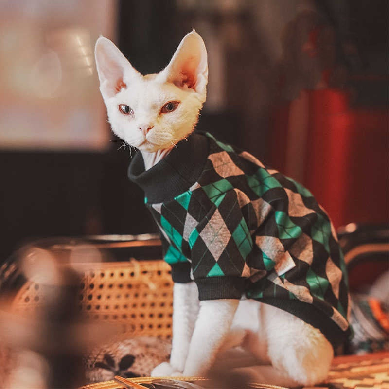 Katzenpullover aus Baumwolle mit Karomuster – Bild 5 | LuxeStyle