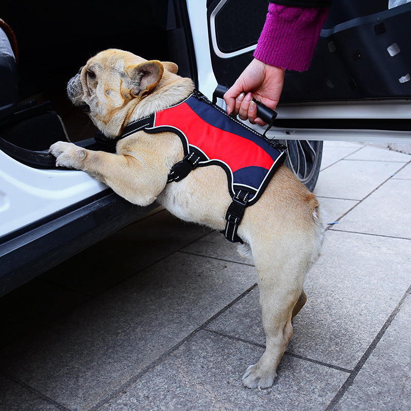 Hunde-Brustgeschirr mit Reflektor – Bild 3 | LuxeStyle