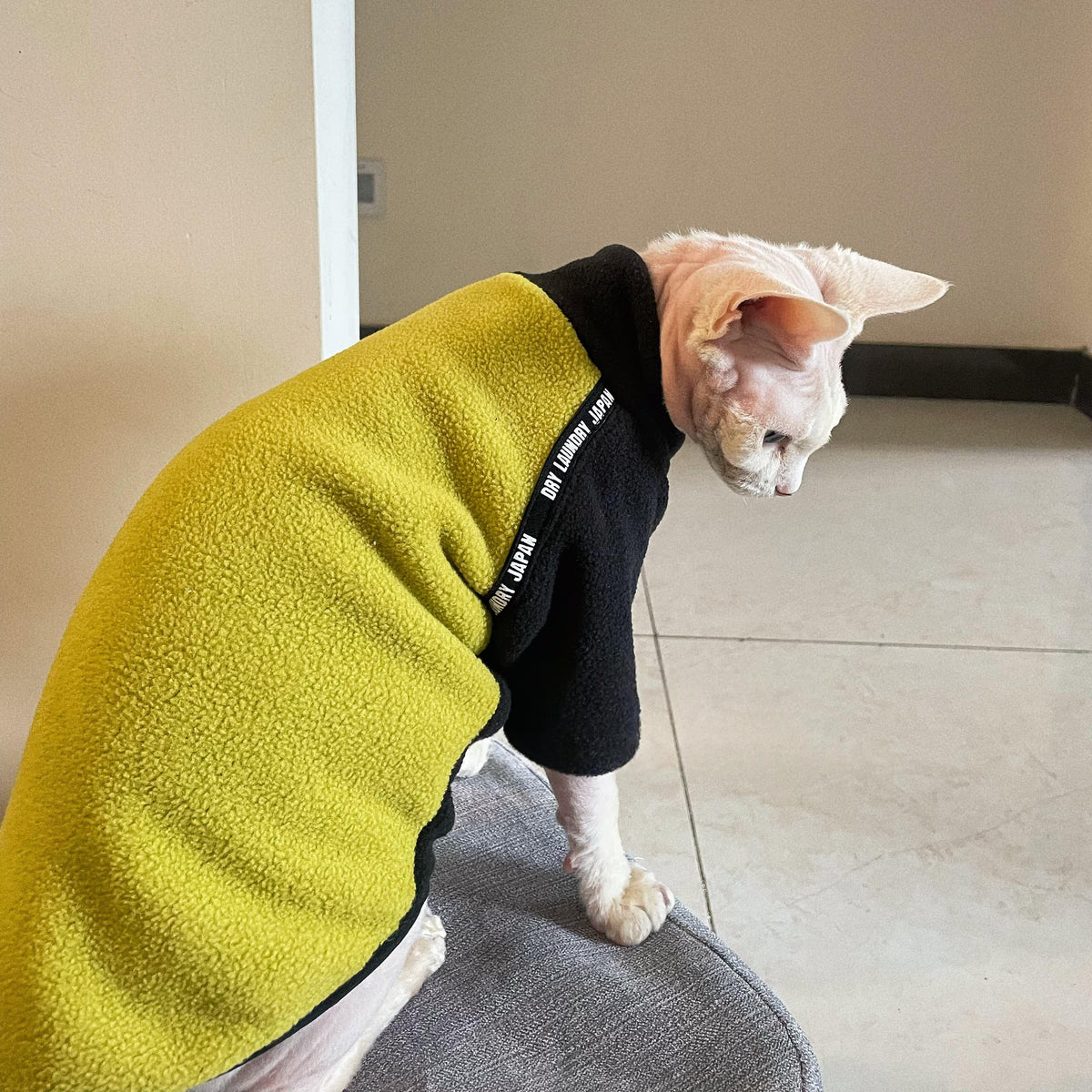 Dicker Polar-Fleece-Katzenpullover mit langen Ärmeln – Bild 2 | LuxeStyle