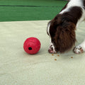 Red Feet Leckerli-Ball für Hunde – Bild 1 | LuxeStyle