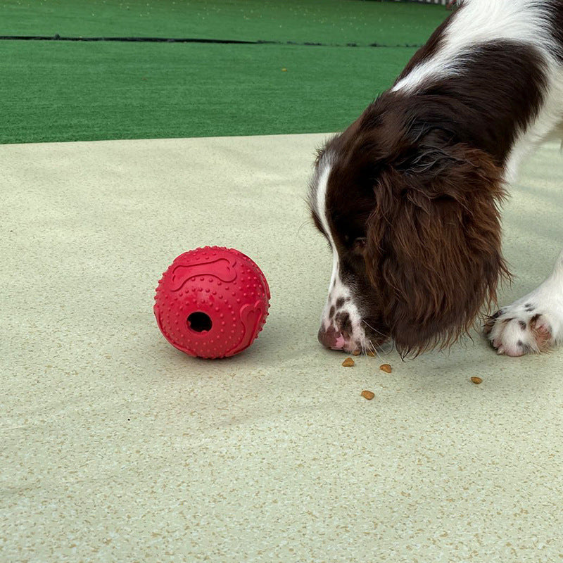 Red Feet Leckerli-Ball für Hunde – Bild 1 | LuxeStyle