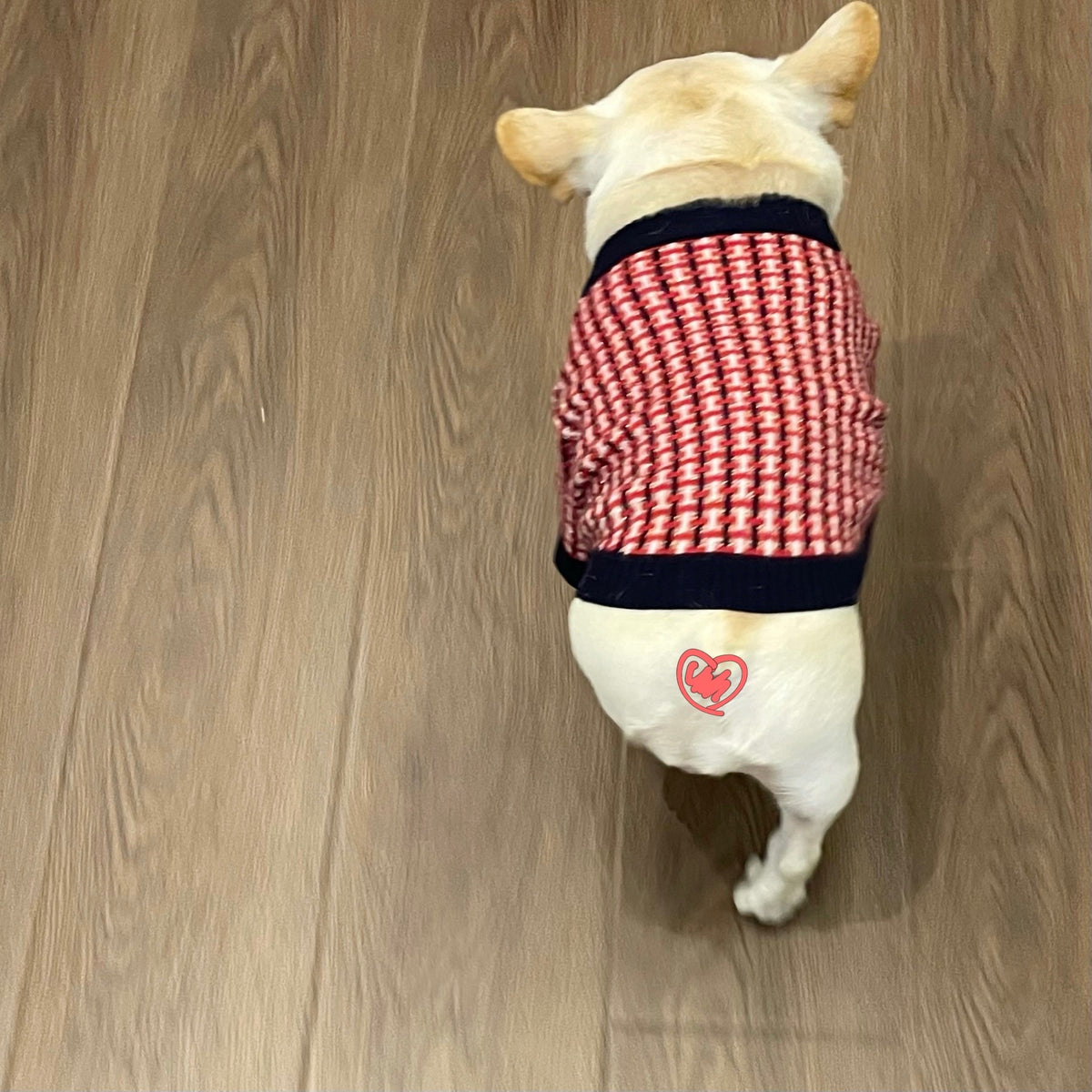 Wollpullover für Hunde – rote Freizeitmode – Bild 6 | LuxeStyle