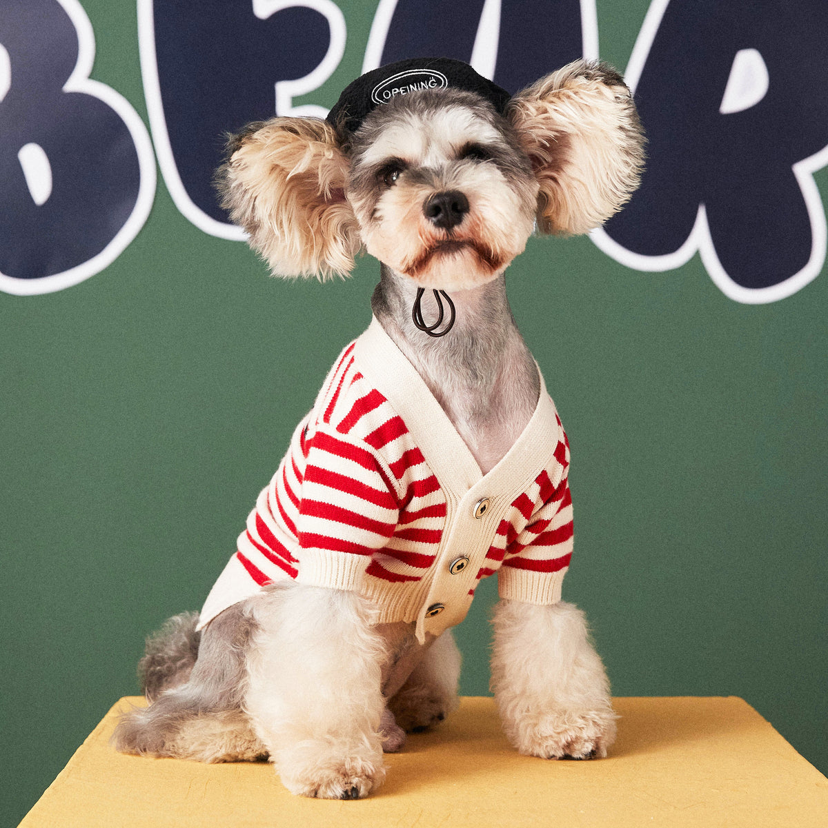 Gestreifter Hundepullover für kleine Hunde – Bild 2 | LuxeStyle