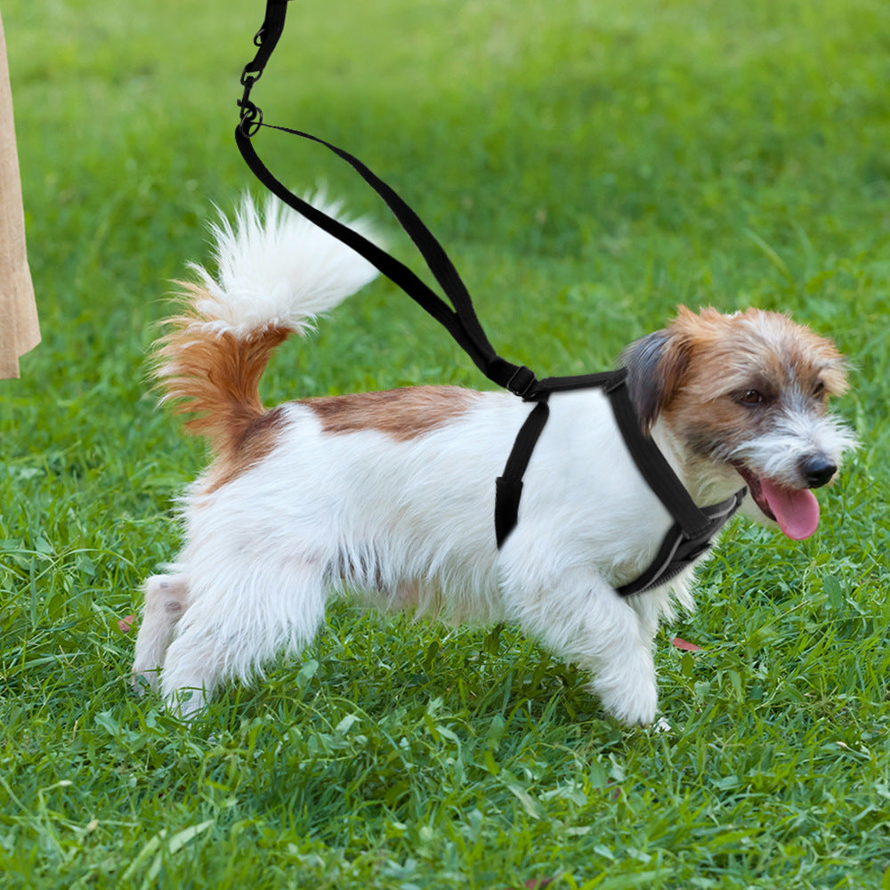Nylon-Brustgeschirr für Hunde, Grösse L – Bild 4 | LuxeStyle