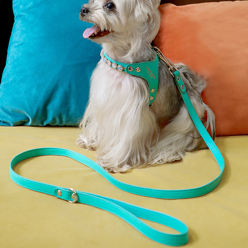 Hundegeschirr & Leine mit Strass – Bild 6 | LuxeStyle