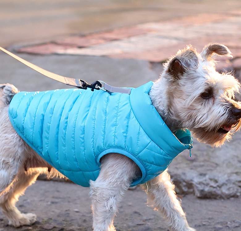 Nylon-Jacke für Hunde Herbst/Winter