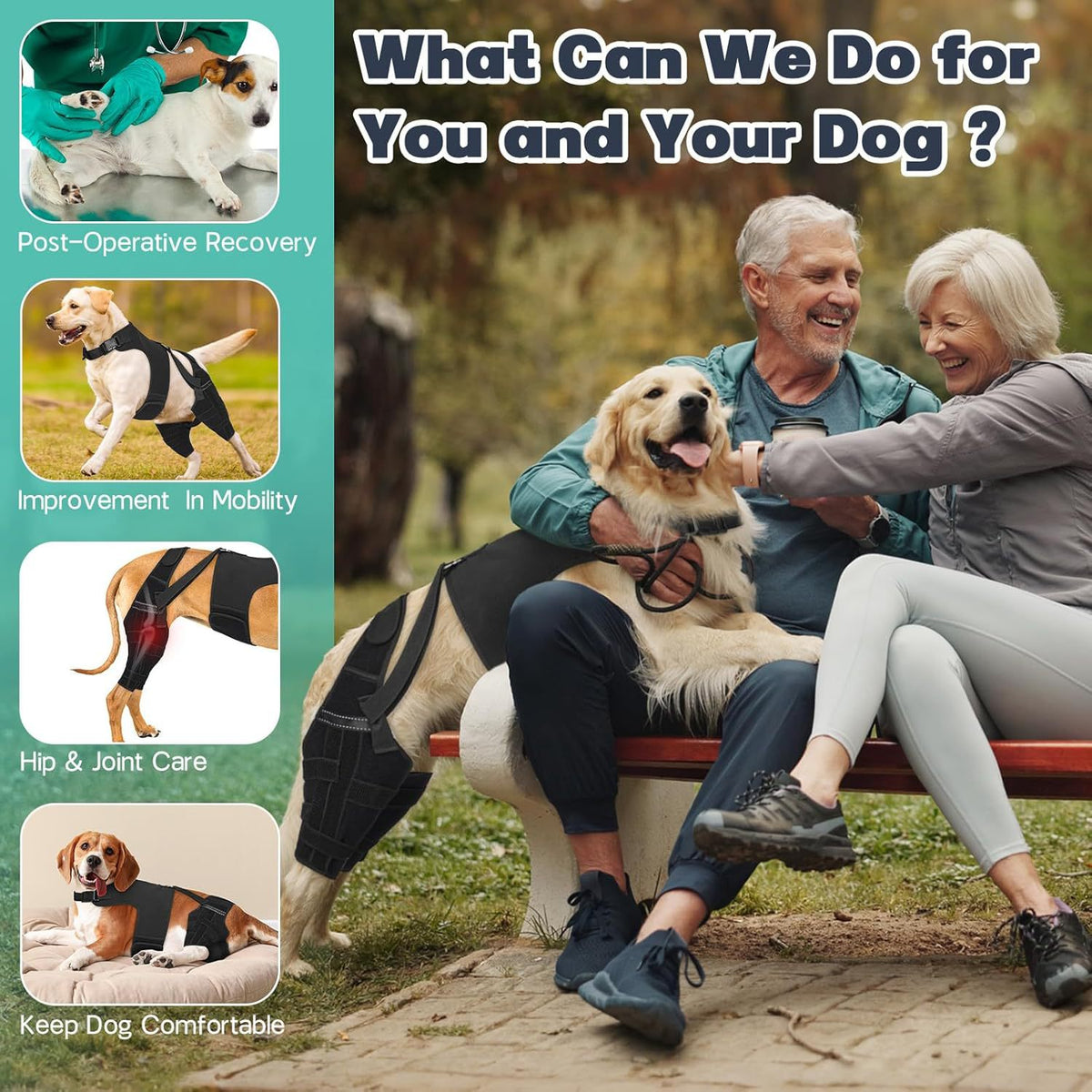 Hundehindbeinschutzgurt – schwarzer Polyestergurt | LuxeStyle