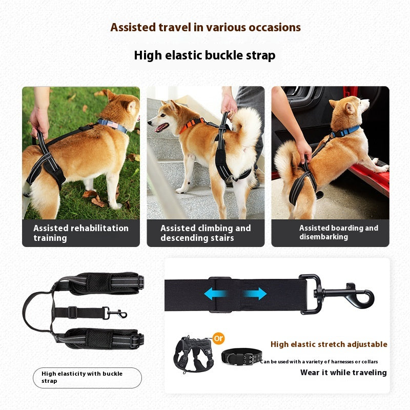 Reha-Gurt für Hinterbeine (Hund) | LuxeStyle